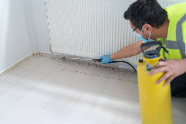 Best Affordable Pest Control Services  in North Madison, OH